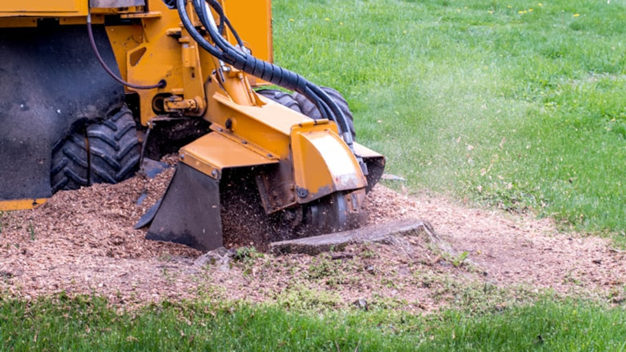 The Benefits of Professional Stump Grinding in Haines City, FL for Residential Yards 